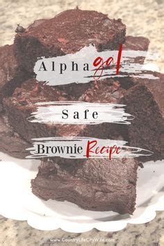 alpha-gal and chocolate|alpha gal friendly desserts.